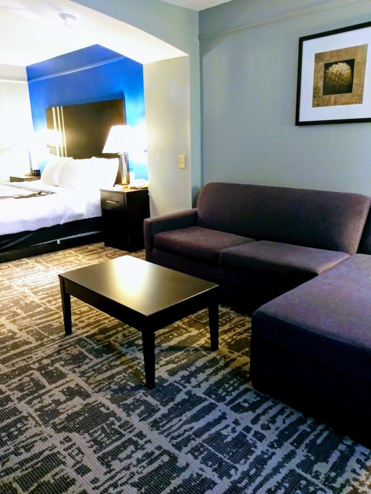 Suite, 1 King Bed with Sofa bed, Non Smoking - Photo 4