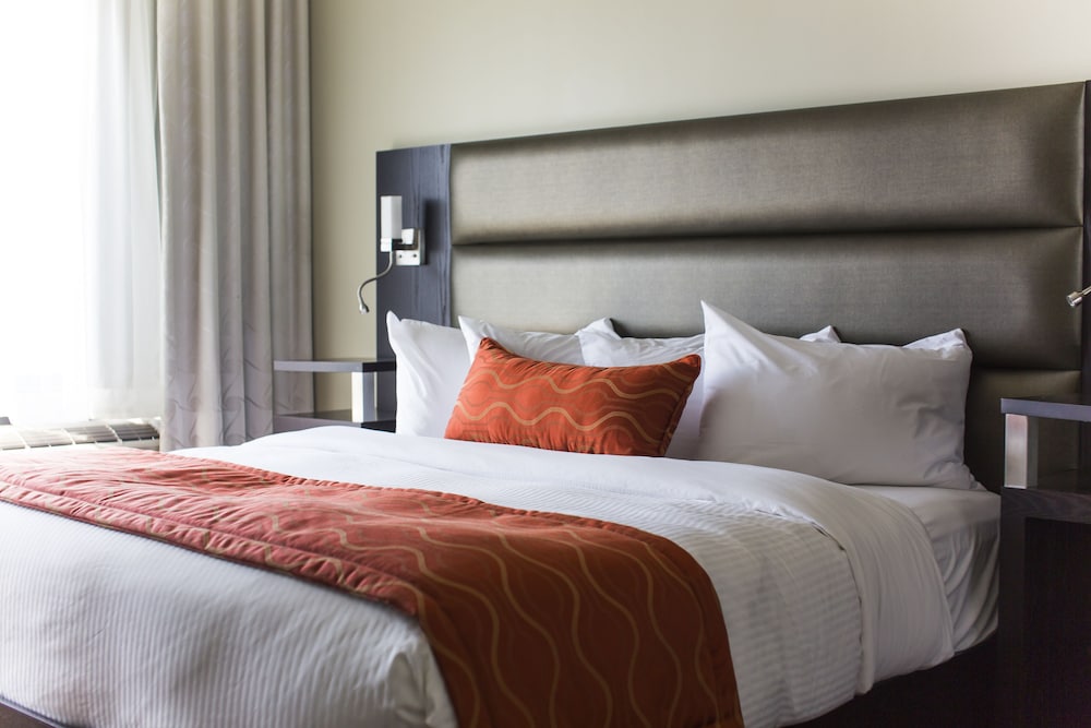 Signature suite 1 king bed - Photo 2