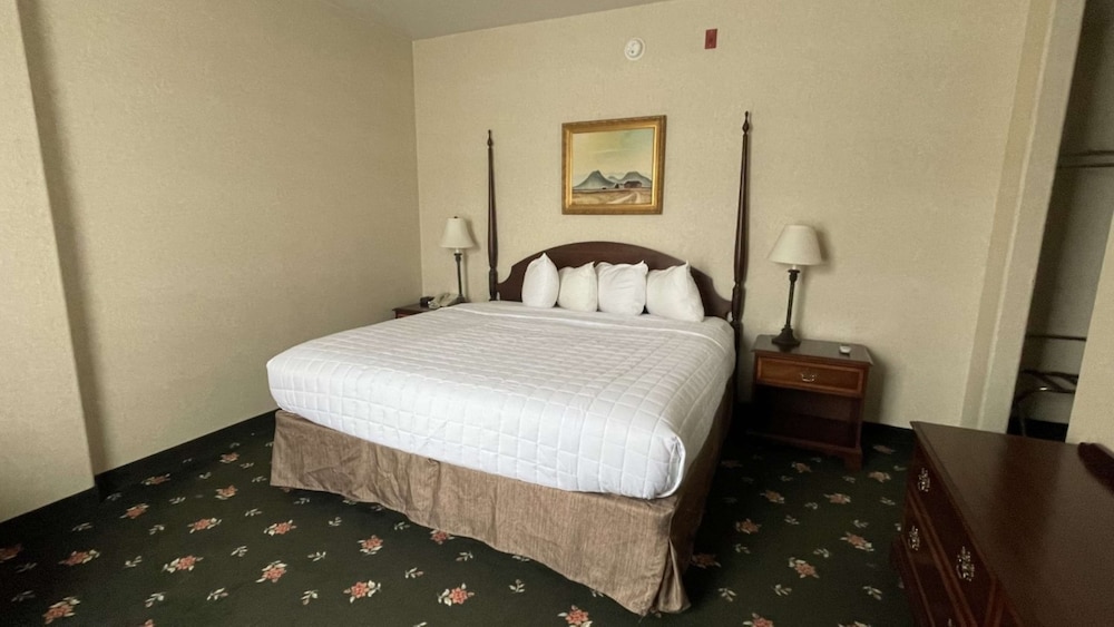 Suite, Multiple Beds, Non Smoking, Kitchenette (with Sofabed) photo 1