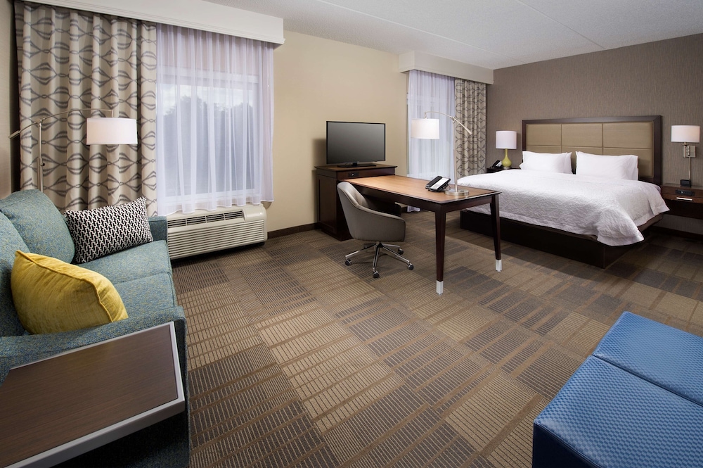 Studio Suite, 1 King Bed with Sofa bed, Non Smoking (Wet Bar) photo 1