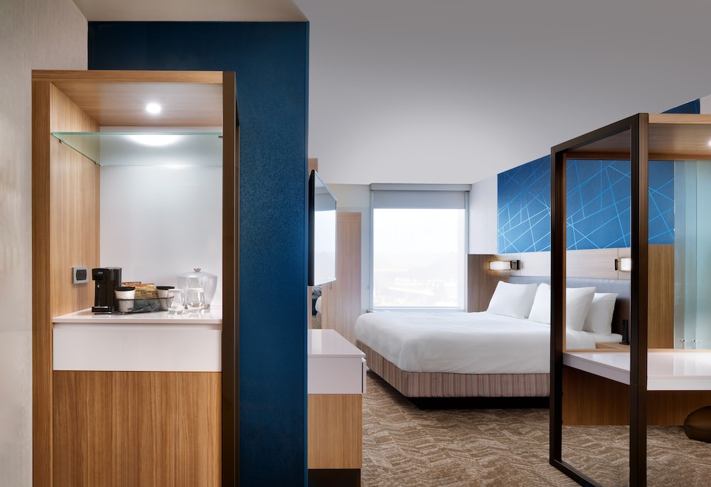 Suite, 1 King Bed