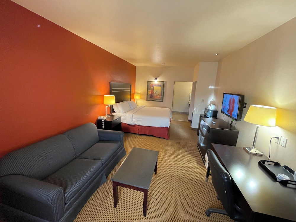Comfort Single Room, 1 King Bed photo 1