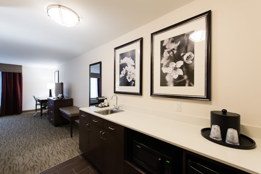 Holiday Inn Express & Suites Aiken by IHG, Billede 3