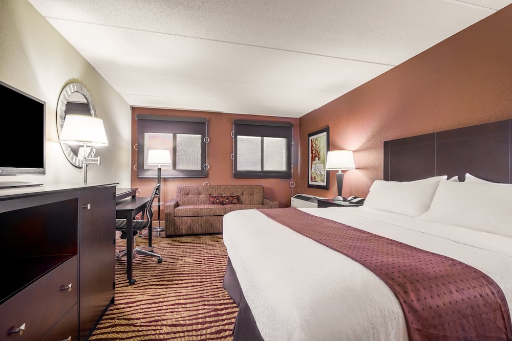 Standard Room, 1 King Bed, Accessible (Communication, Roll-In Shower) - Photo 1