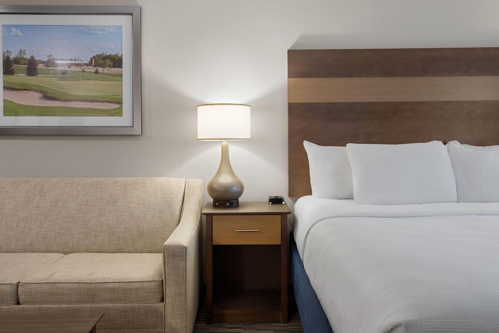 Studio Suite, 1 King Bed, Non Smoking photo 3