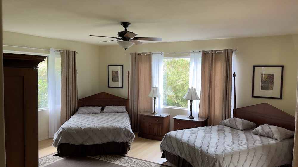Room (Botanical) - Photo 12