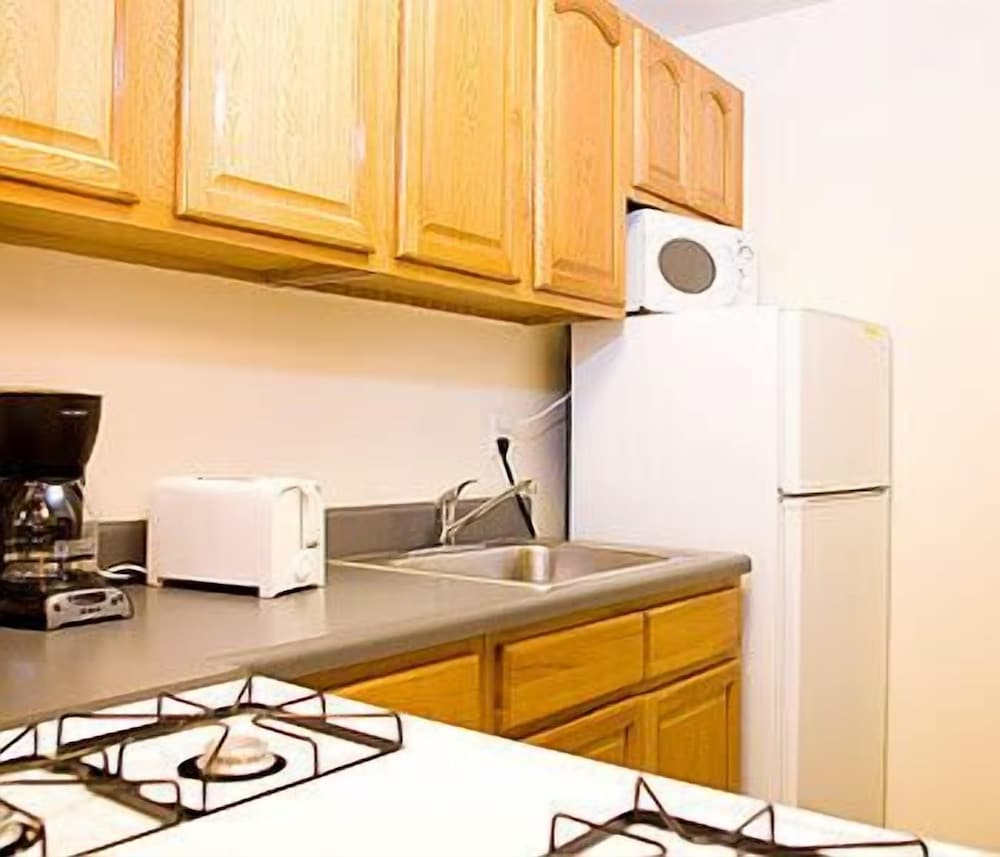 1000sq ft suite, private bathroom  Max 2 people photo 3