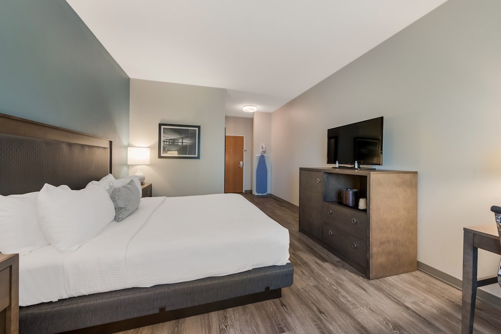Standard Room, 1 King Bed, Non Smoking, Refrigerator (with Sofabed) - Photo 6