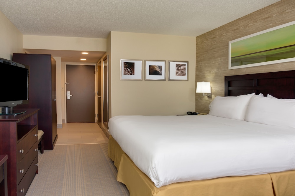 Standard Room, 1 King Bed, Accessible (Communications, Mobility, Access Tub) - Photo 1