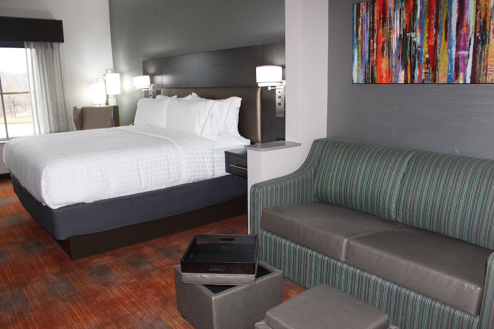 Suite, 1 King Bed (Additional Living Area) photo 3