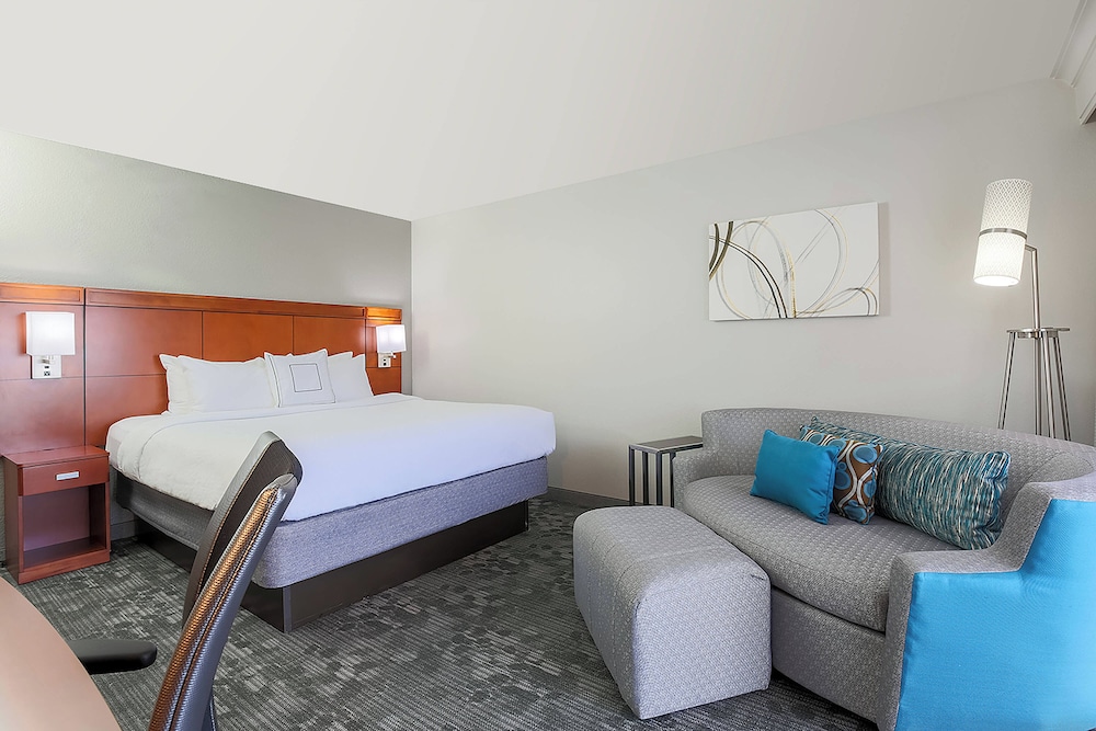 Room, 1 King Bed with Sofa bed (Hearing Accessible)