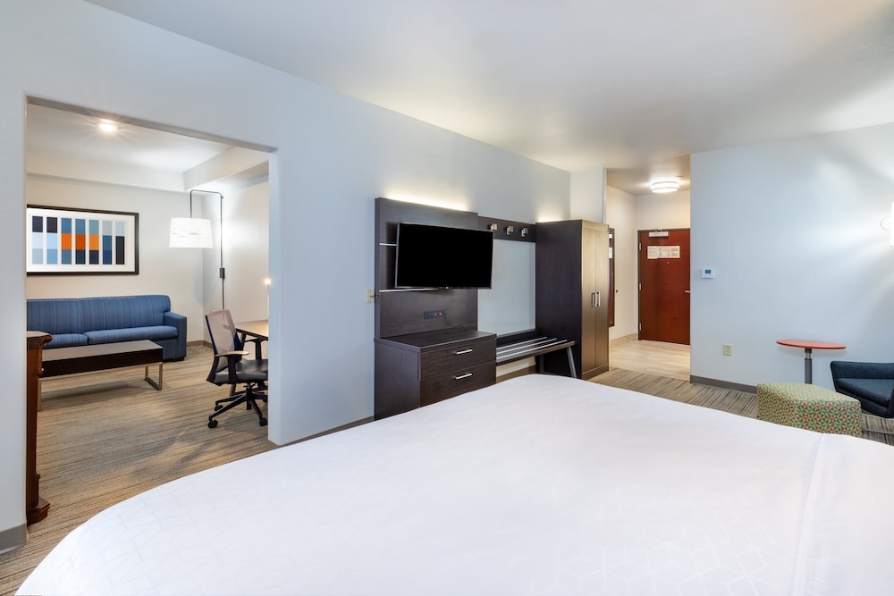 Suite, 1 King Bed photo 1
