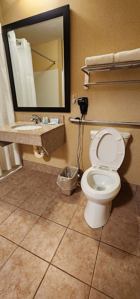 Room, 1 King Bed, Accessible, Non Smoking - Photo 6