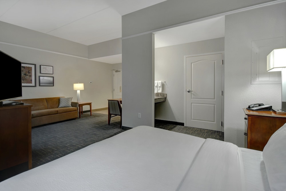 Studio, 1 King Bed with Sofa bed (Mobility/Hearing Access, Roll-In Shwr) photo 3
