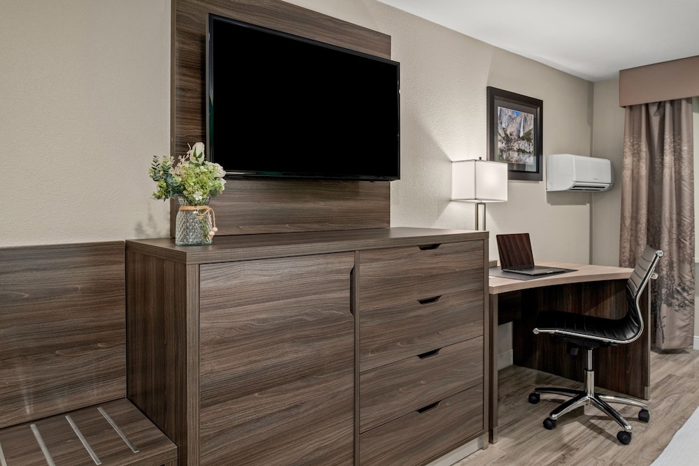 Suite, 1 King Bed, Accessible photo 3