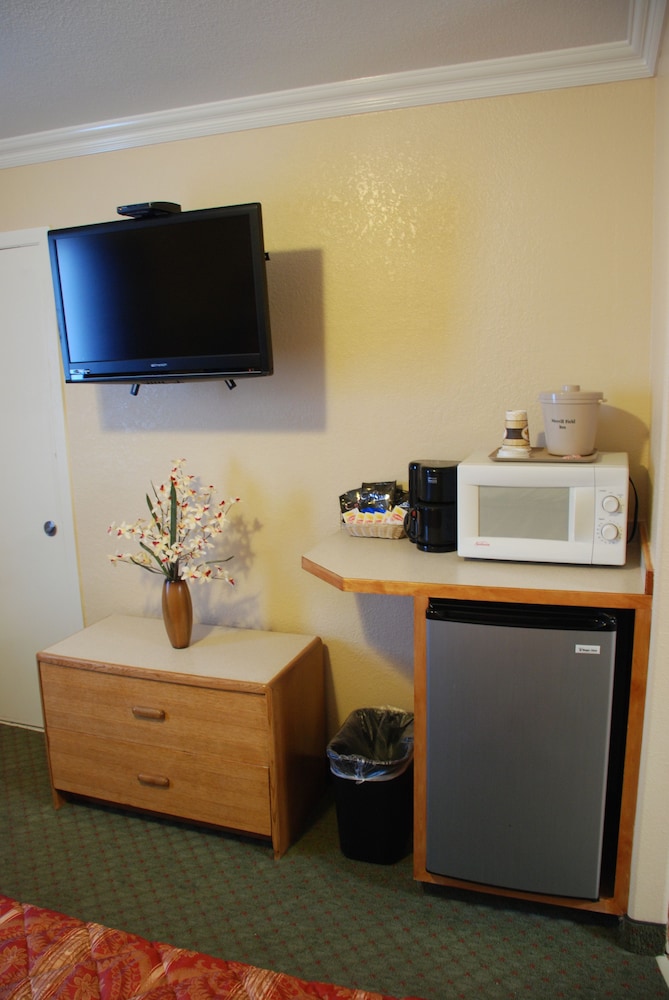 Suite, 1 King Bed photo 2