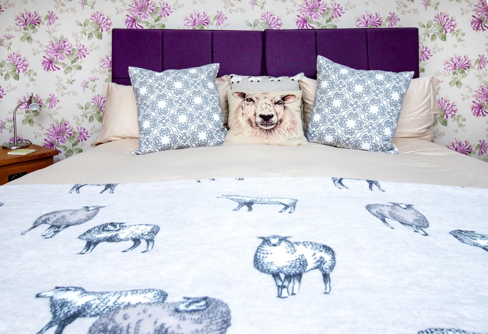 Double or Twin Room photo 2
