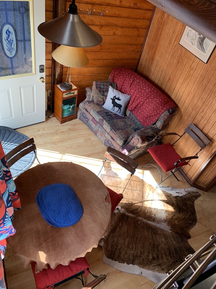 Comfortable Cabin #3 on the Kenai River photo 3