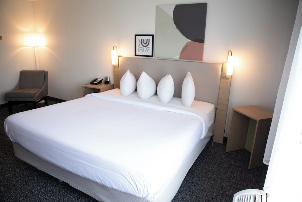 Room, 1 King Bed, Accessible (Mobility & Hearing, Roll-in Shower) - Photo 5