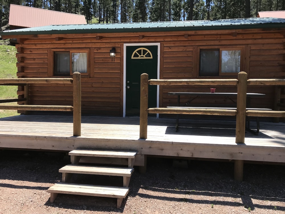 Cabin 11