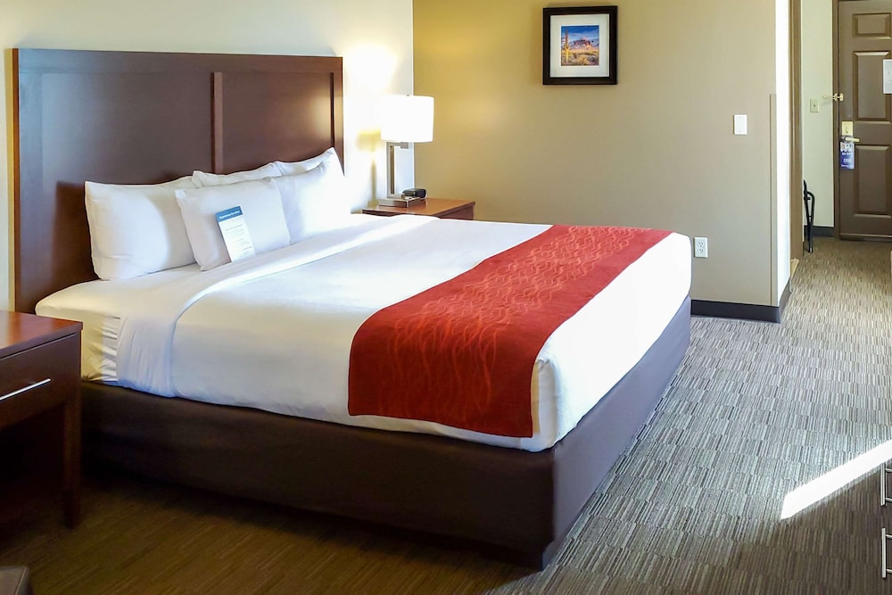 Standard Room, 1 King Bed, Accessible, Non Smoking photo 1