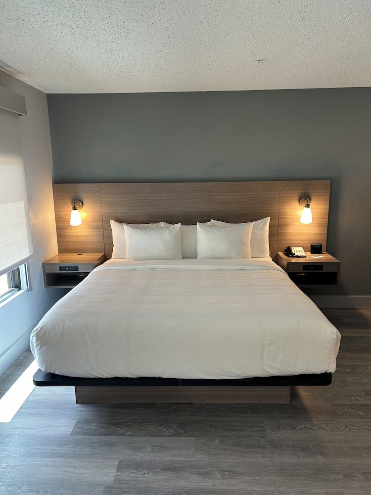Room, 1 King Bed, Non Smoking photo 1