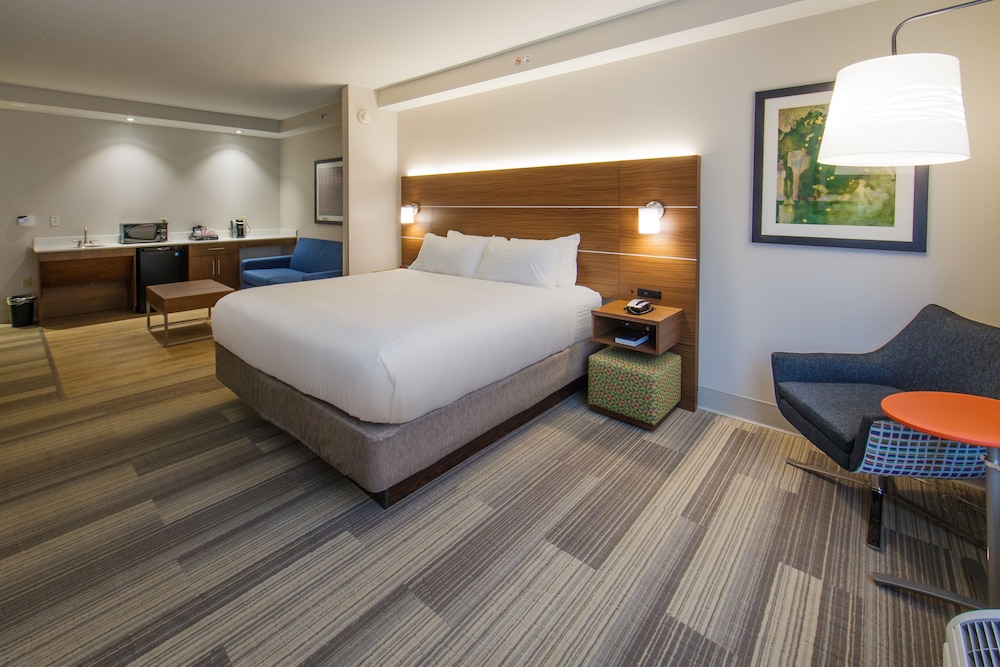 Suite, 1 King Bed, Accessible (Roll-In Shower)