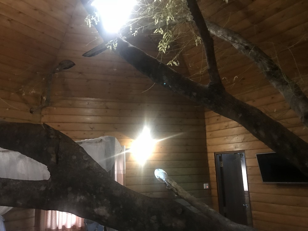 Deluxe Tree House photo 3