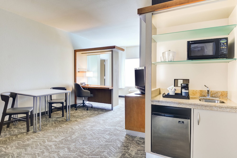 Suite, 1 Bedroom - Photo 4