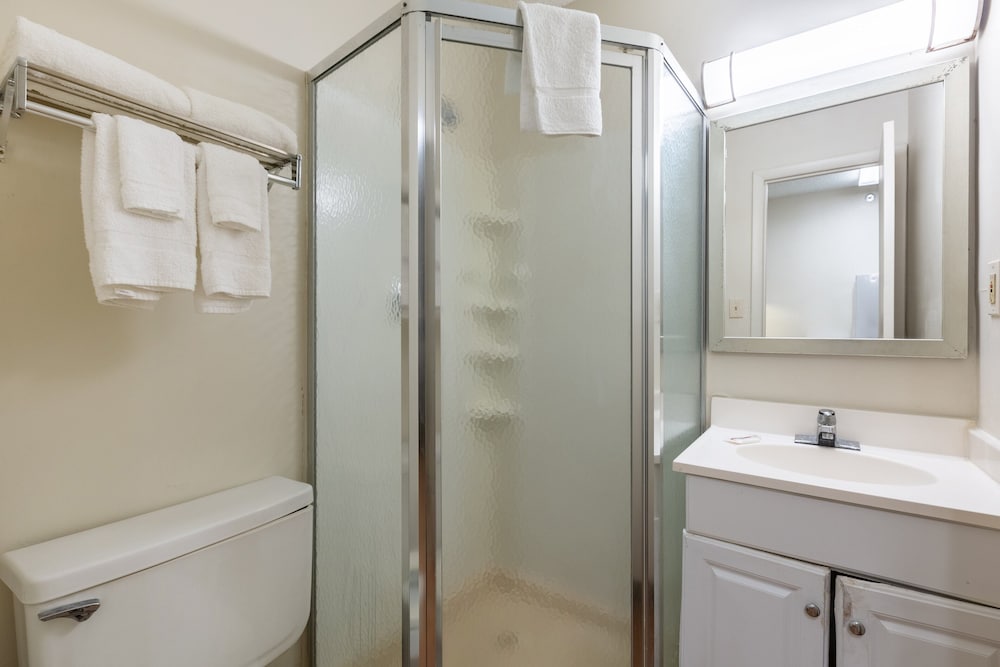 Studio, Multiple Beds, Non Smoking (1 King and 2 Double Beds) - Photo 5