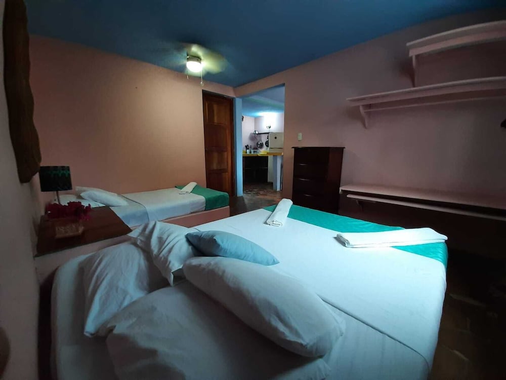 Junior Studio, Multiple Beds, Garden View, Garden Area photo 3