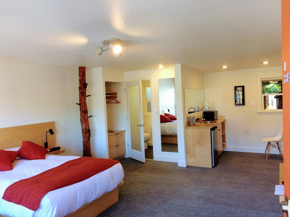 Room, 1 King Bed, Refrigerator & Microwave (202356994)