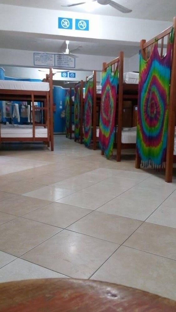 Basic Shared Dormitory, Mixed Dorm, Shared Bathroom (price for 1 bed)