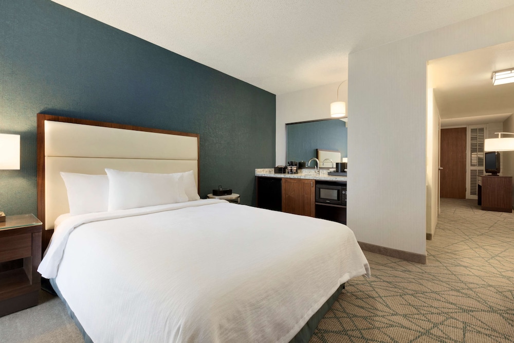 Room, 1 King Bed, Non Smoking photo 1
