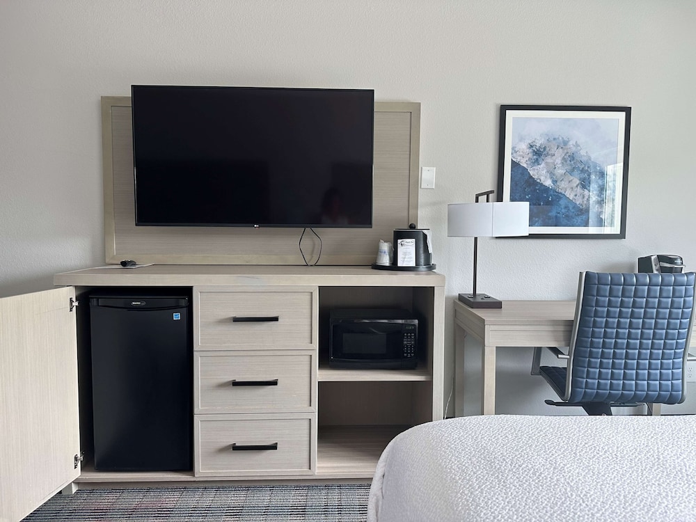 Suite, 1 King Bed With Sofa Bed, Accessible, Non Smoking (With Sofabed) - Photo 1