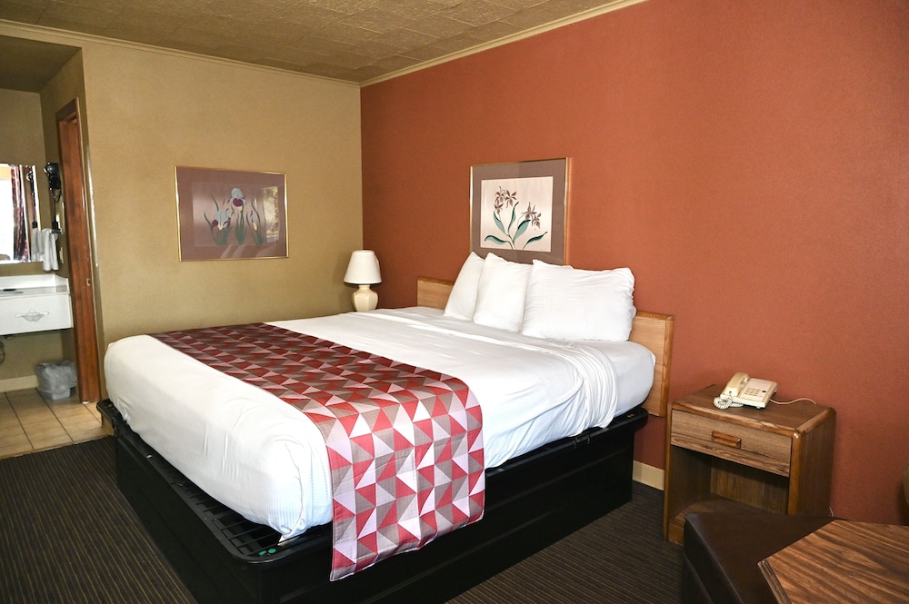 Single Room, 1 King Bed, Non Smoking photo 1