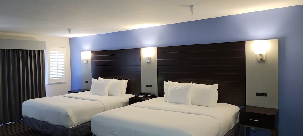 Superior Room, Multiple Beds, Refrigerator & Microwave photo 2