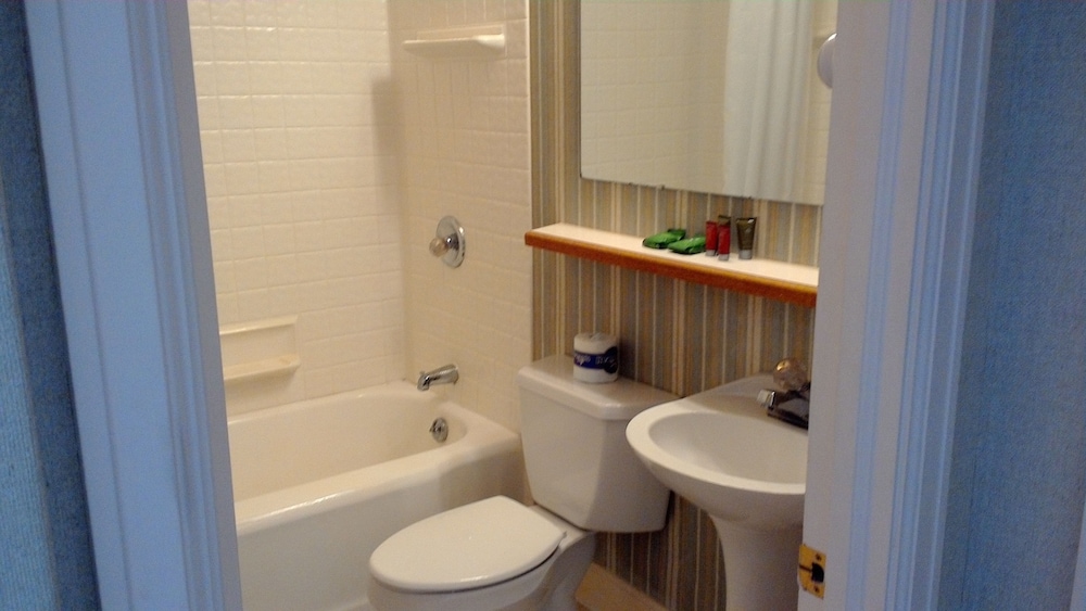 Standard Room, Multiple Beds photo 2