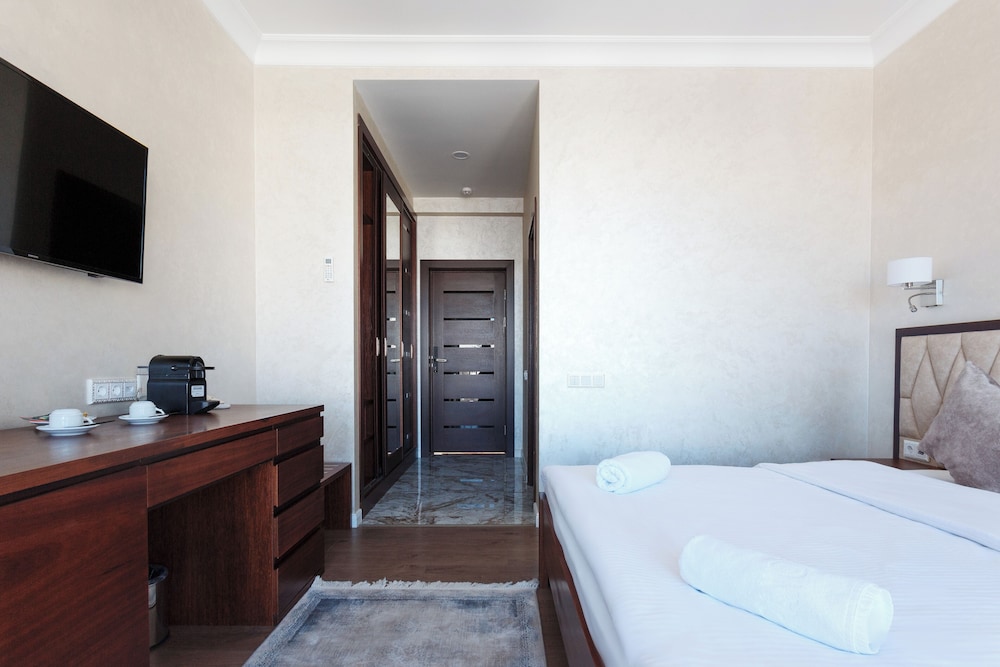 Business Double Room Single Use, Mountain View photo 1