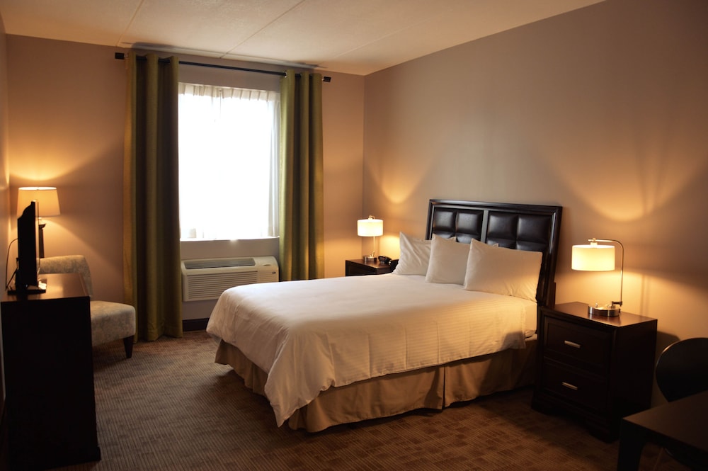Deluxe Room, 1 King Bed, Non Smoking, Refrigerator & Microwave