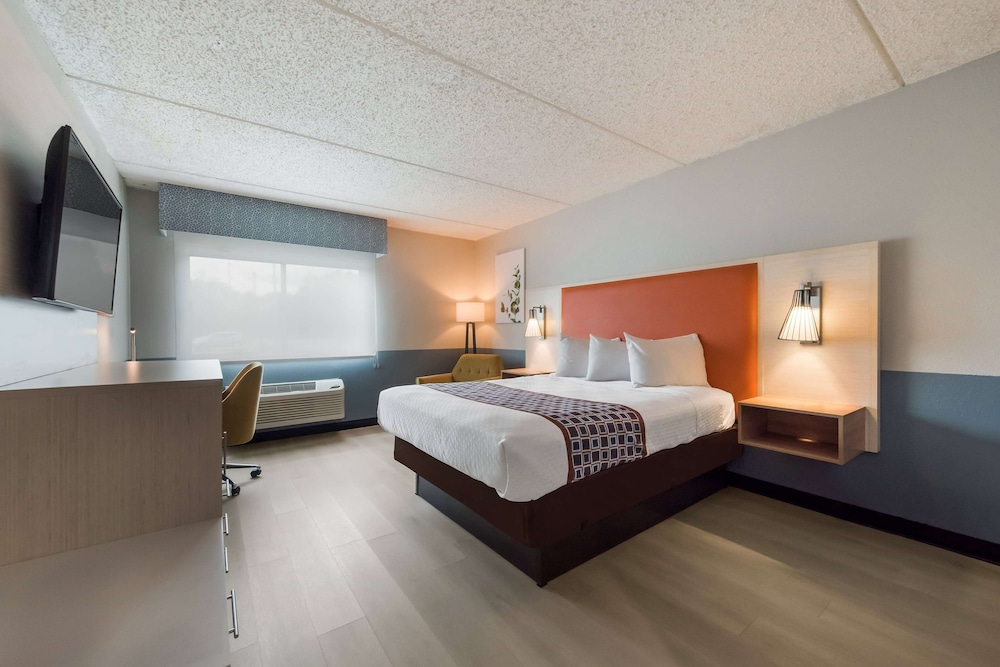 Room, 1 King Bed, Mobility Accessible, Non Smoking (Bathtub W/grab Bars, Pet-friendly) photo 3