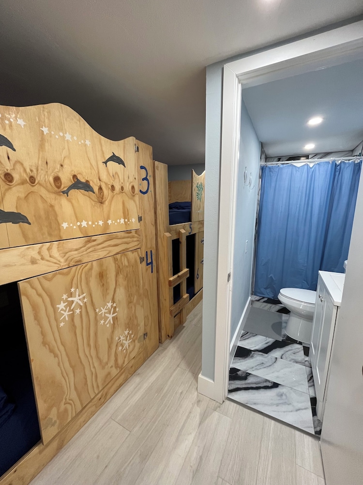 Basic Shared Dormitory photo 2