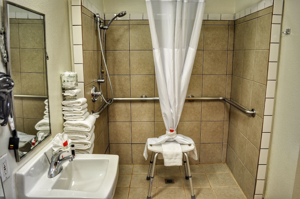 Room, 1 King Bed, Accessible, Roll-in Shower, Non Smoking - Photo 9