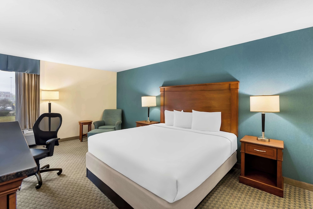 Suite, 1 King Bed - Photo 1
