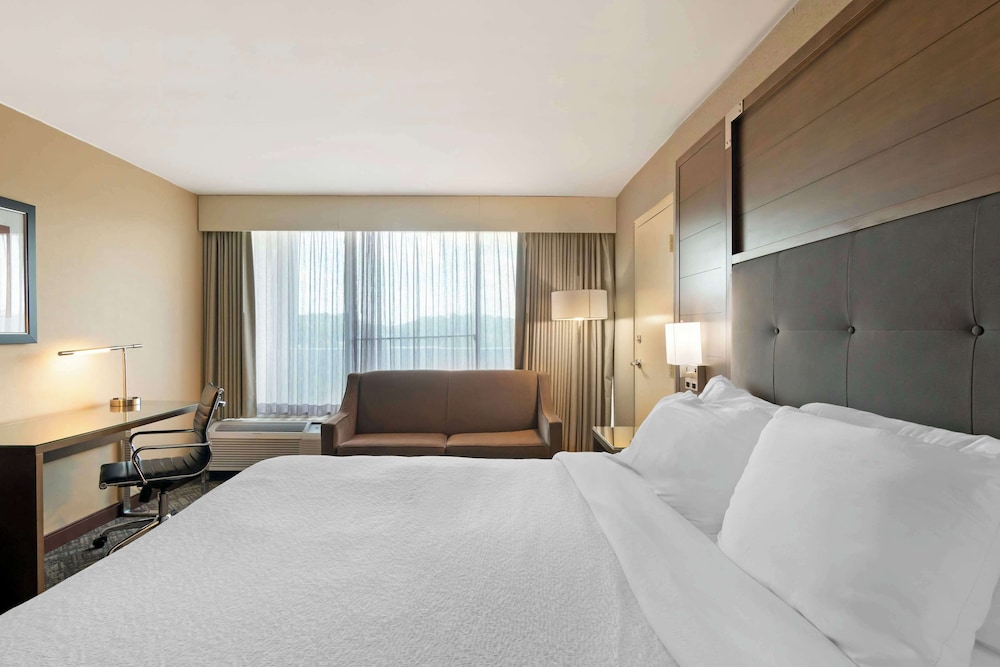 Standard Room, 1 King Bed, Accessible, Refrigerator photo 1
