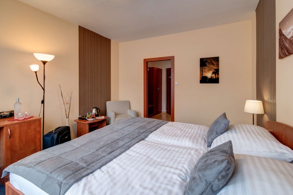 Executive Room, 1 King Bed - Photo 11