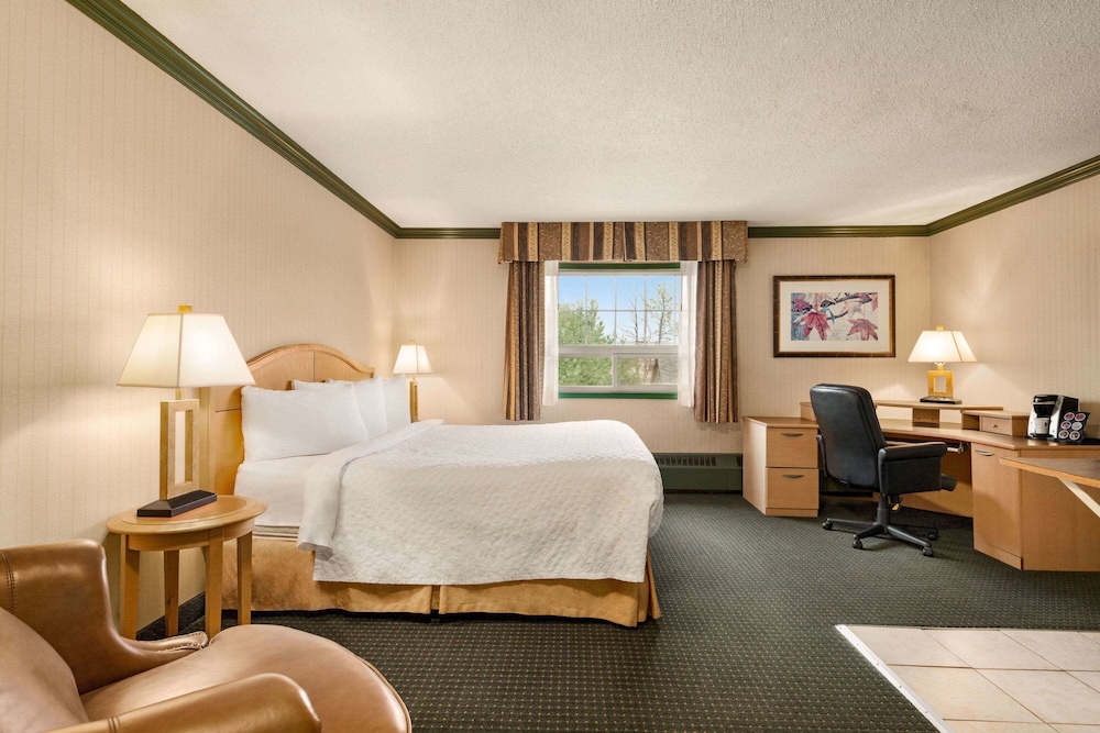 Room, 1 King Bed, Non Smoking photo 3