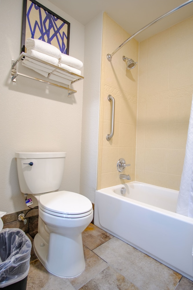 Studio Suite, 1 King Bed, Kitchen - Photo 4
