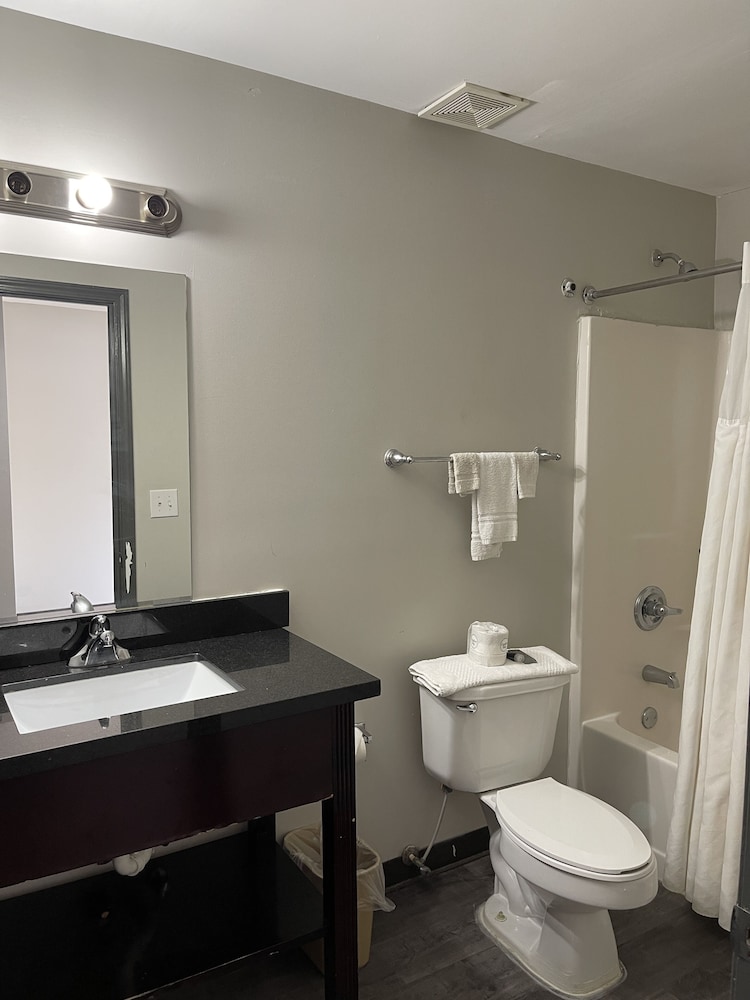 Basic Studio Suite, 1 King Bed, Non Smoking photo 3