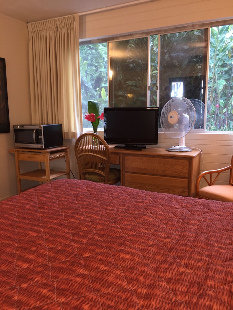 Superior Studio, 1 Queen Bed, Kitchen photo 3